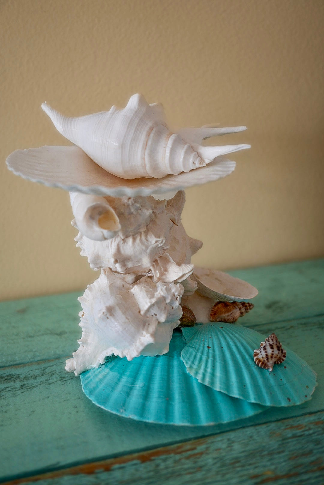 A decorative seashell sculpture featuring a large white conch shell on top of layered white coral-like shells, with turquoise blue scalloped shells at the base and a small brown spiral shell on the front right, displayed on a distressed teal wooden surface against a beige wall.