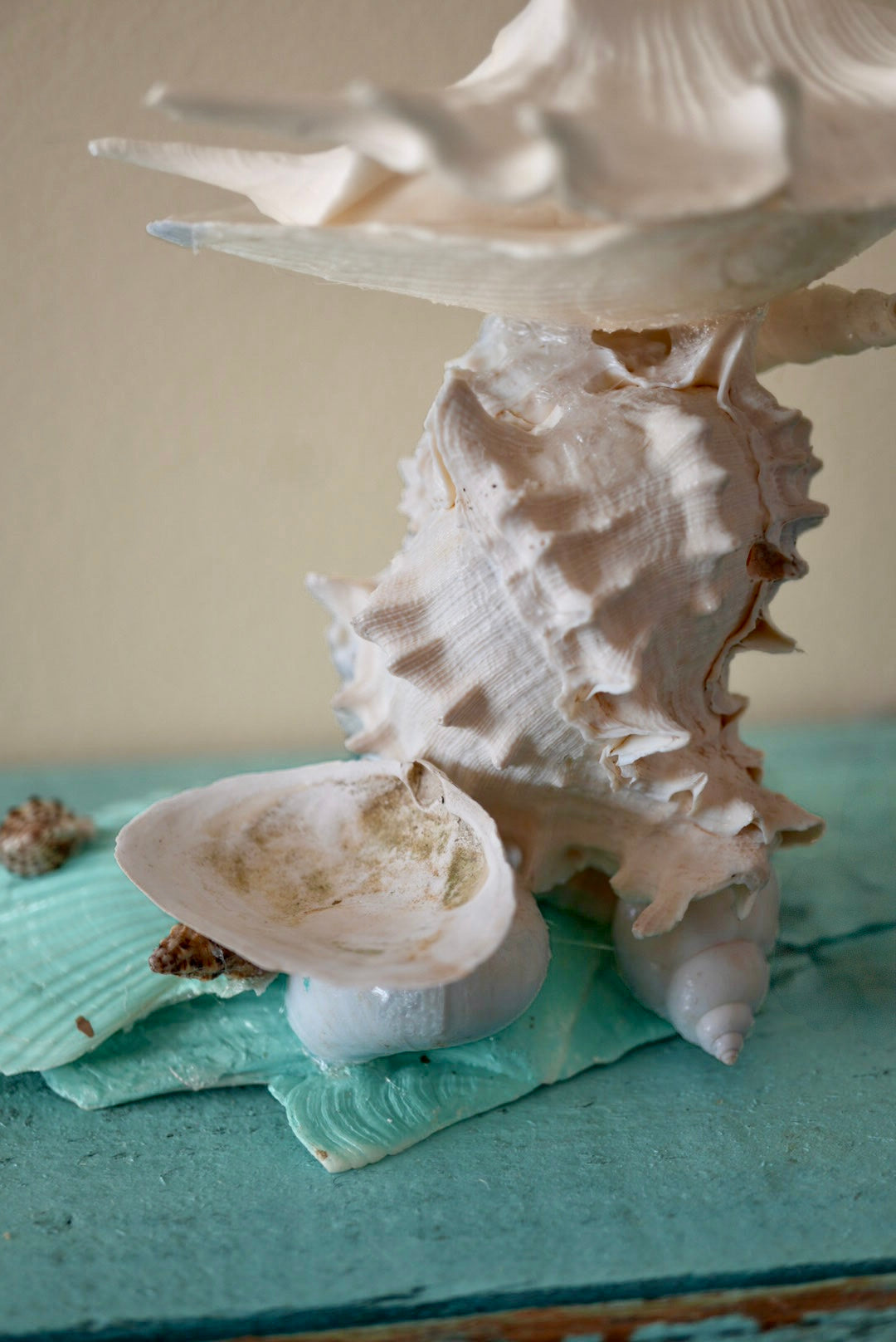 Beach Cottage Seashell Coastal Jewelry Holder and Trinket Tray