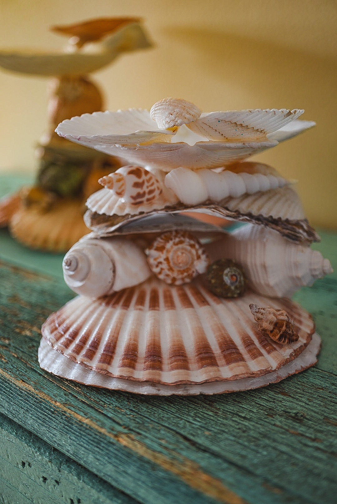 Stacked Multi Seashell Coastal Jewelry Holder and Trinket Tray