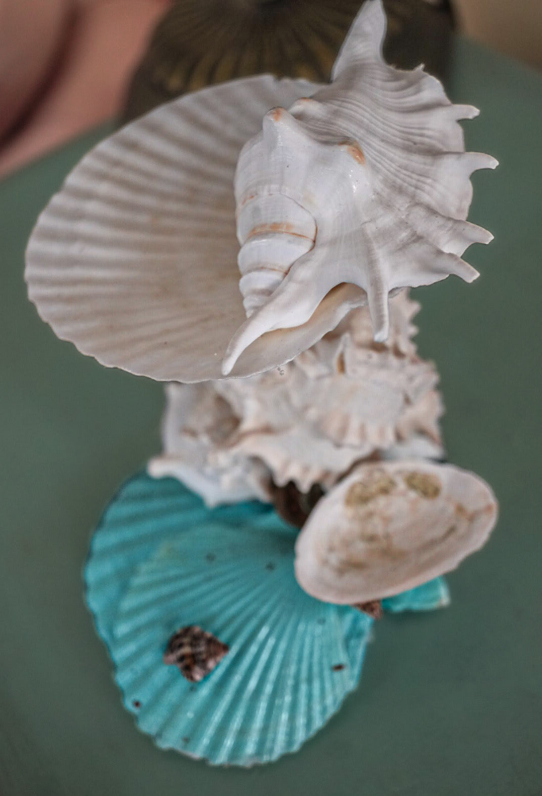 Beach Cottage Seashell Coastal Jewelry Holder and Trinket Tray