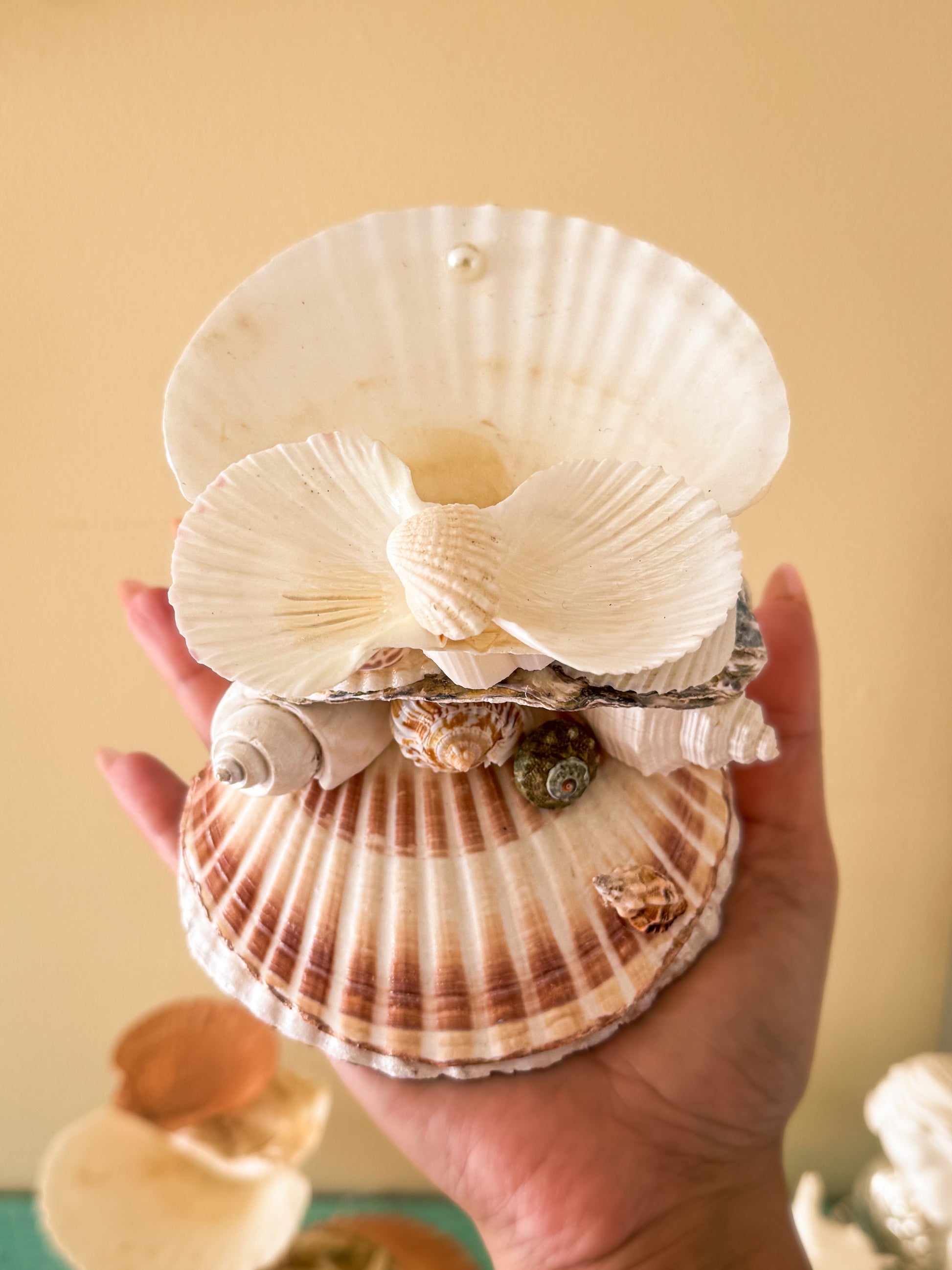 A hand holding a decorative shell arrangement made of layered real seashells, including a large cream scallop shell on top, smaller striped brown and cream shells, and several small spiral seashells nestled in the center, against a warm beige background.