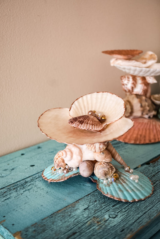 A decorative seashell jewelry display stand featuring a large cream-colored shell hat with a small brown shell on top, supported by a cluster of seashells on a distressed teal wooden surface.