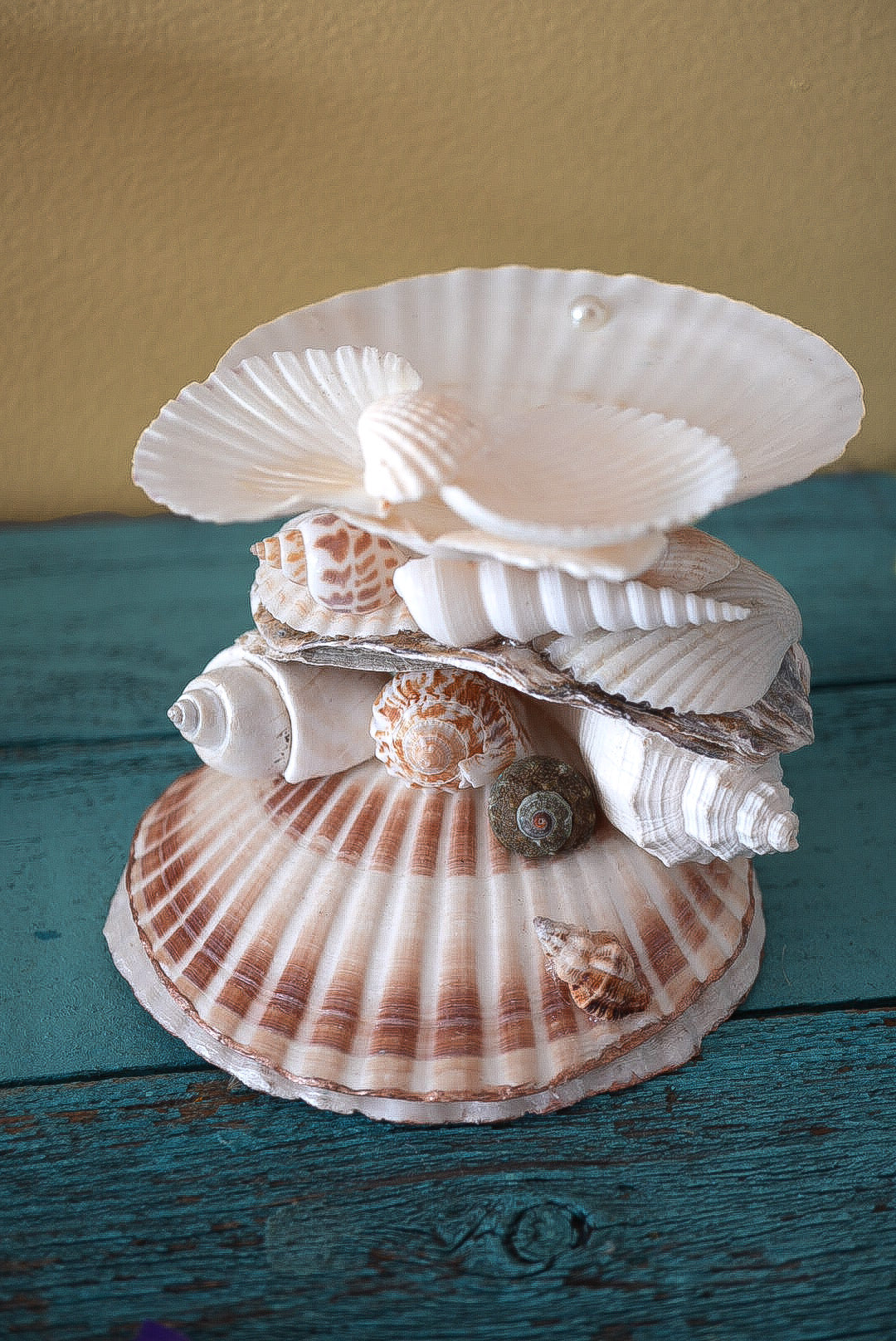 Stacked Multi Seashell Coastal Jewelry Holder and Trinket Tray