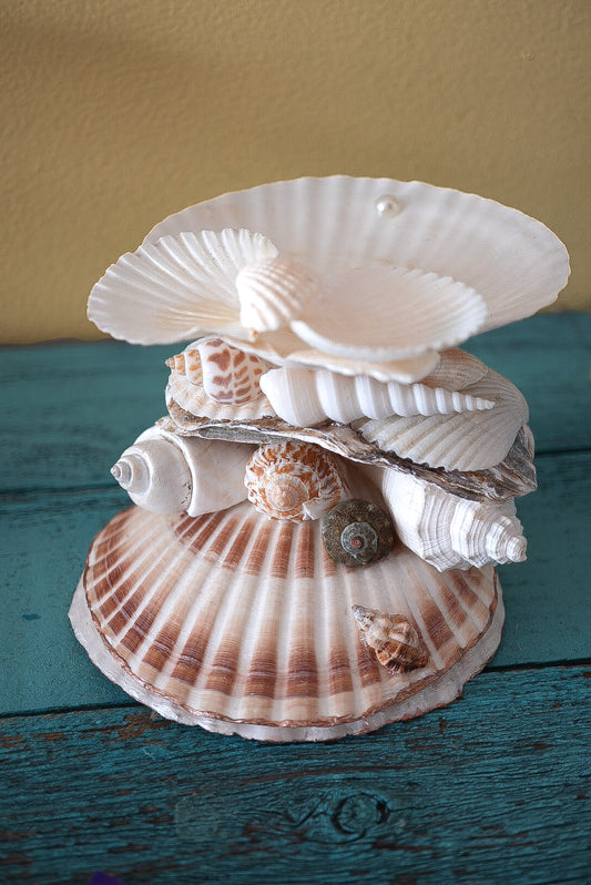 Stacked Multi Seashell Coastal Jewelry Holder and Trinket Tray