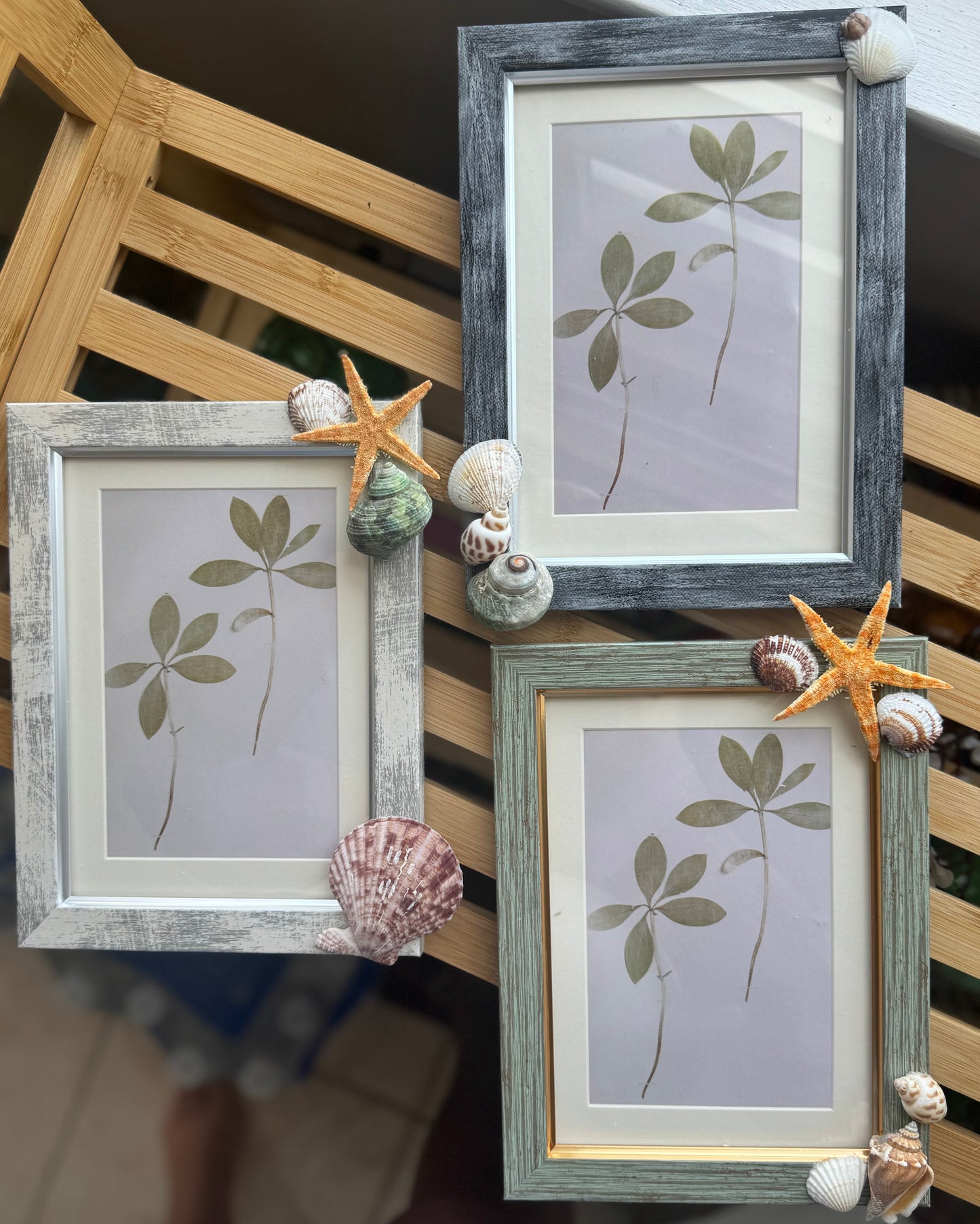 Seashell Picture Frames