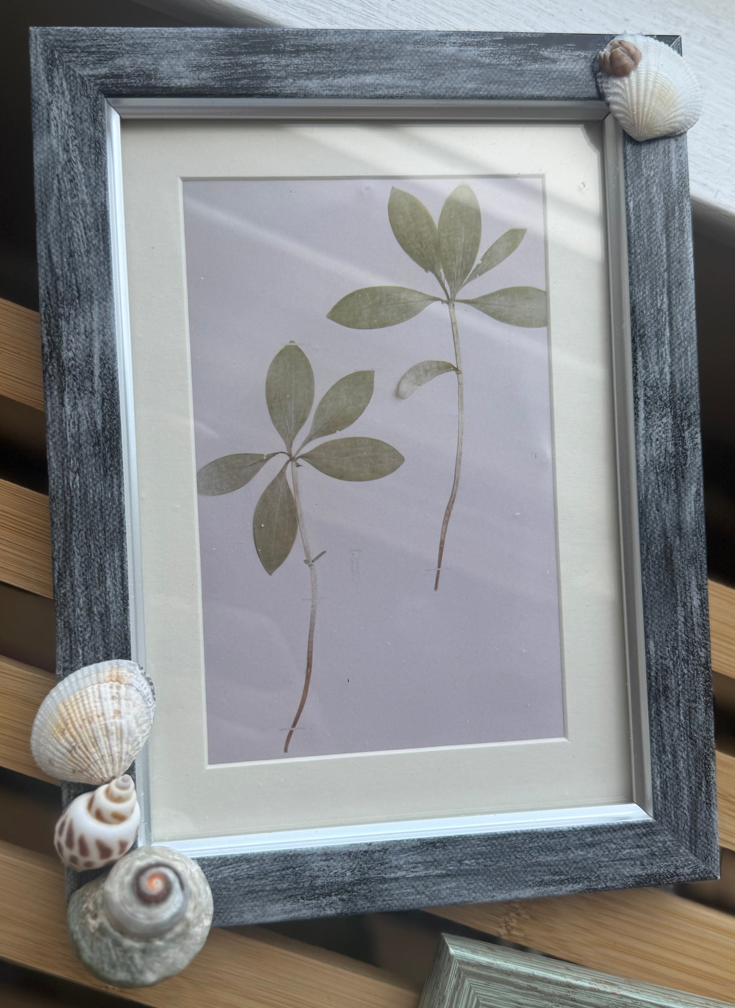 Seashell Picture Frames
